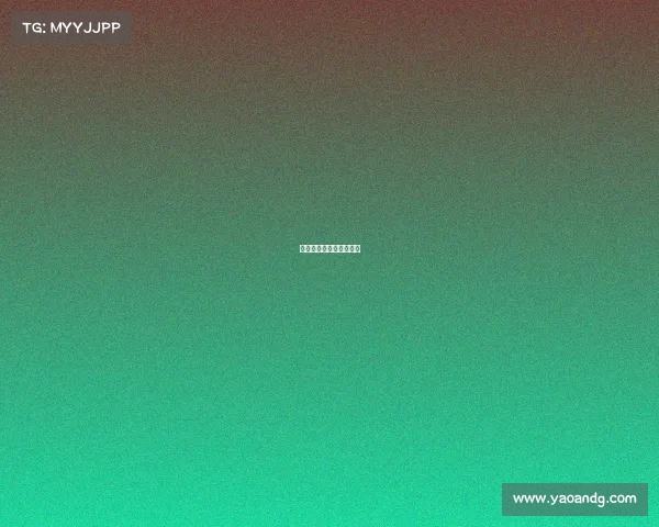 赛事编排软件去哪里找？