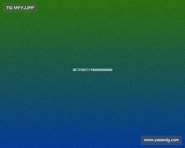 深圳CBA联赛2024赛季全面赛程安排及场馆信息